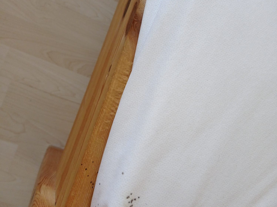 Feriendorf Lechbruck主图
