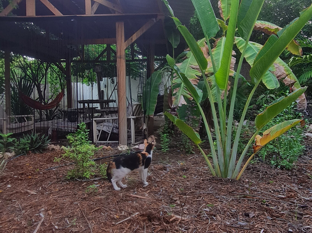 B&B Villa Zomerland主图