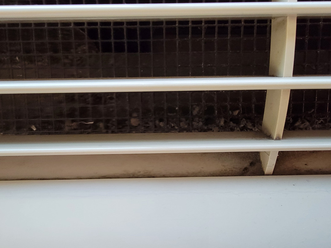 Super 8 by Wyndham Portland Airport主图