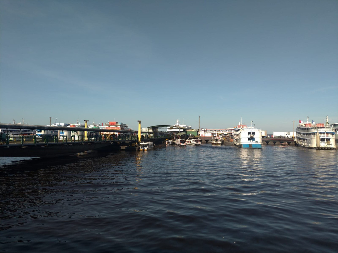 Port of Manaus-玛瑙斯必去景点