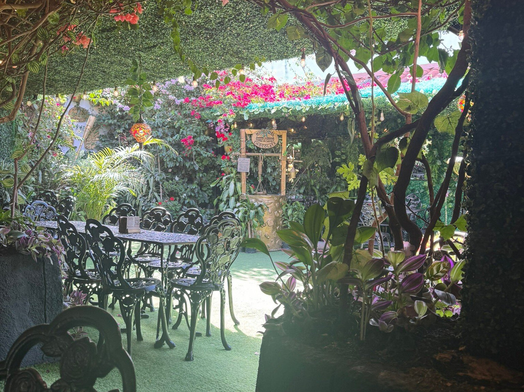 Museo del Chocolate-博亚卡必去景点