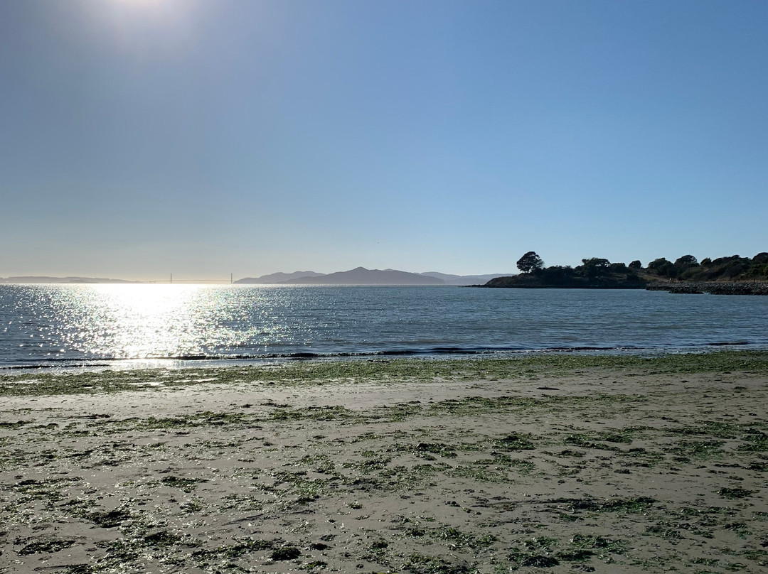 McLaughlin Eastshore State Park-埃默里维尔必去景点