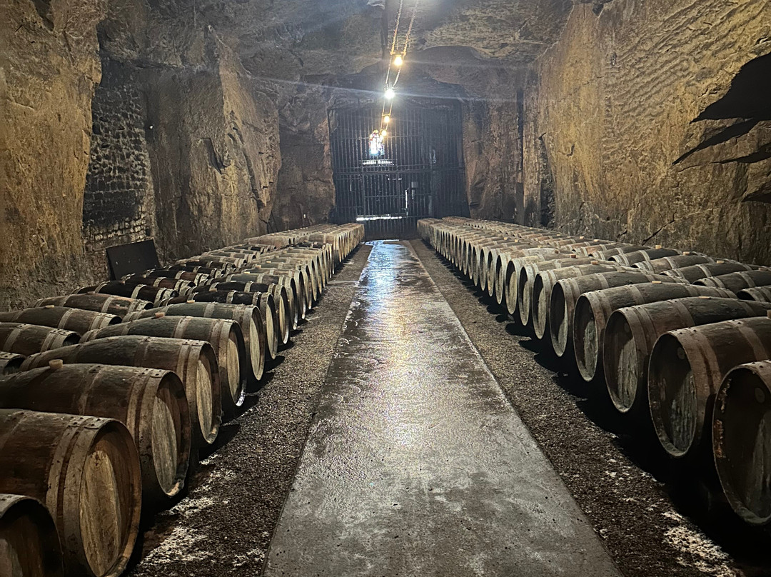 Loire Valley Wine Tour - Day Tours-Chabris必去景点