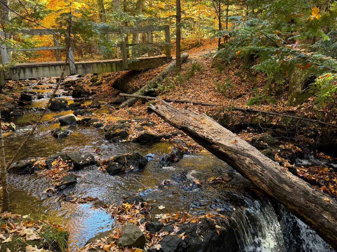 Chapel Falls-缪尼辛必去景点
