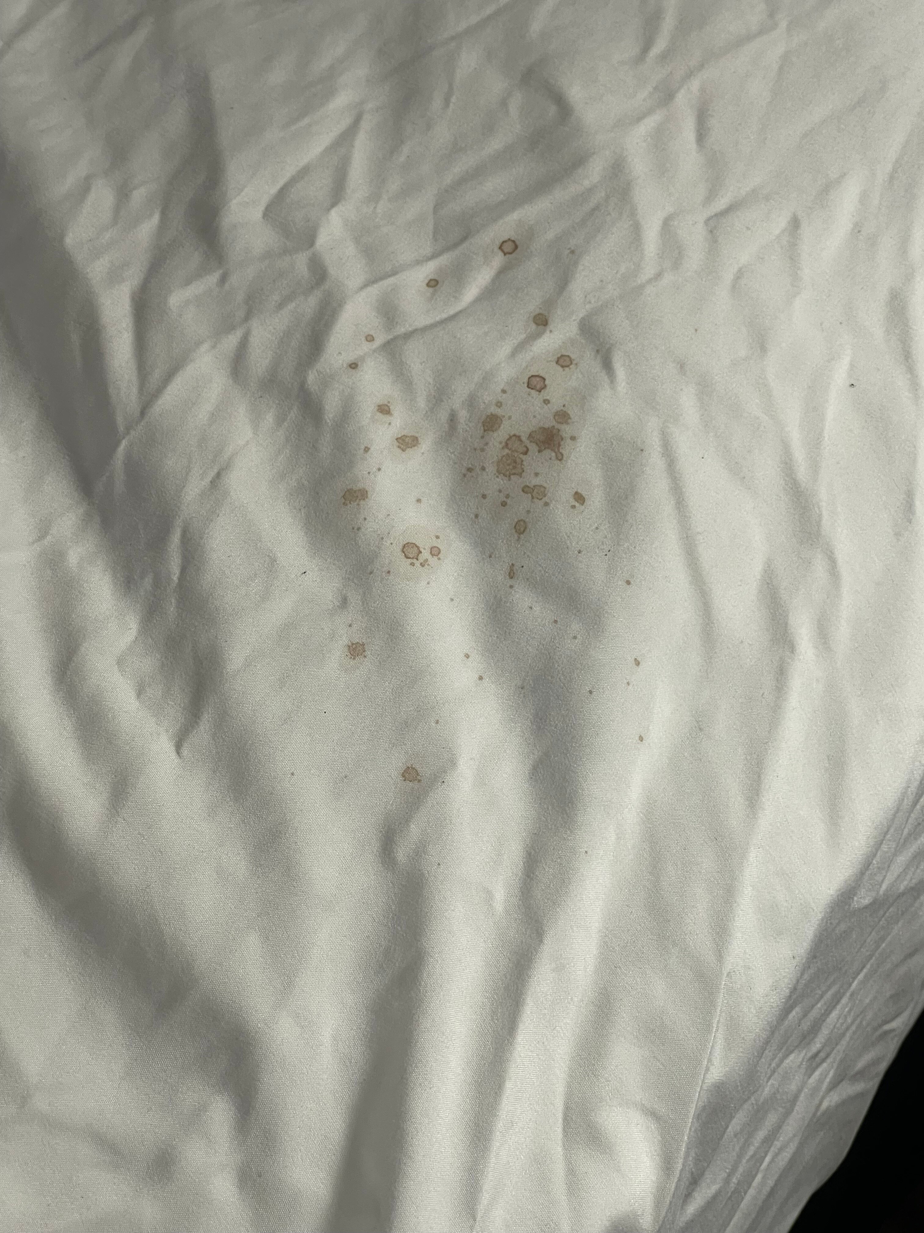 Econo Lodge-官方