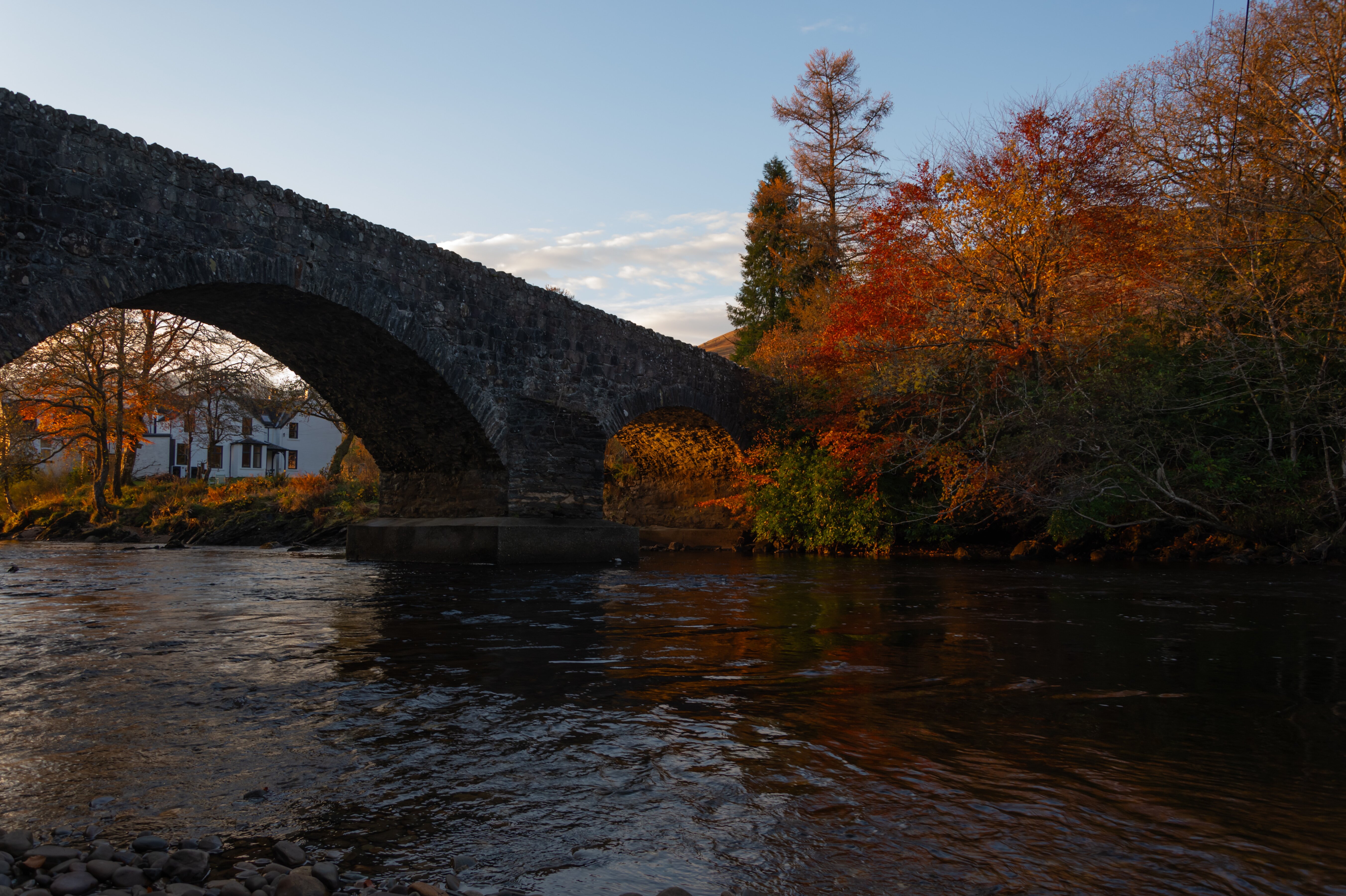 Orchy Bank Guest House-官方