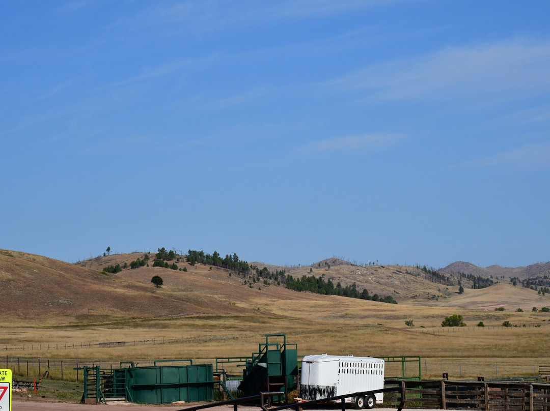 Custer State Park Wildlife Station Visitor Center-Hermosa必去景点