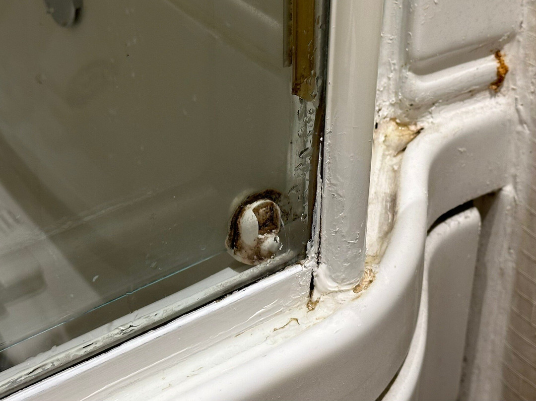 The Mansion on Delaware Avenue主图