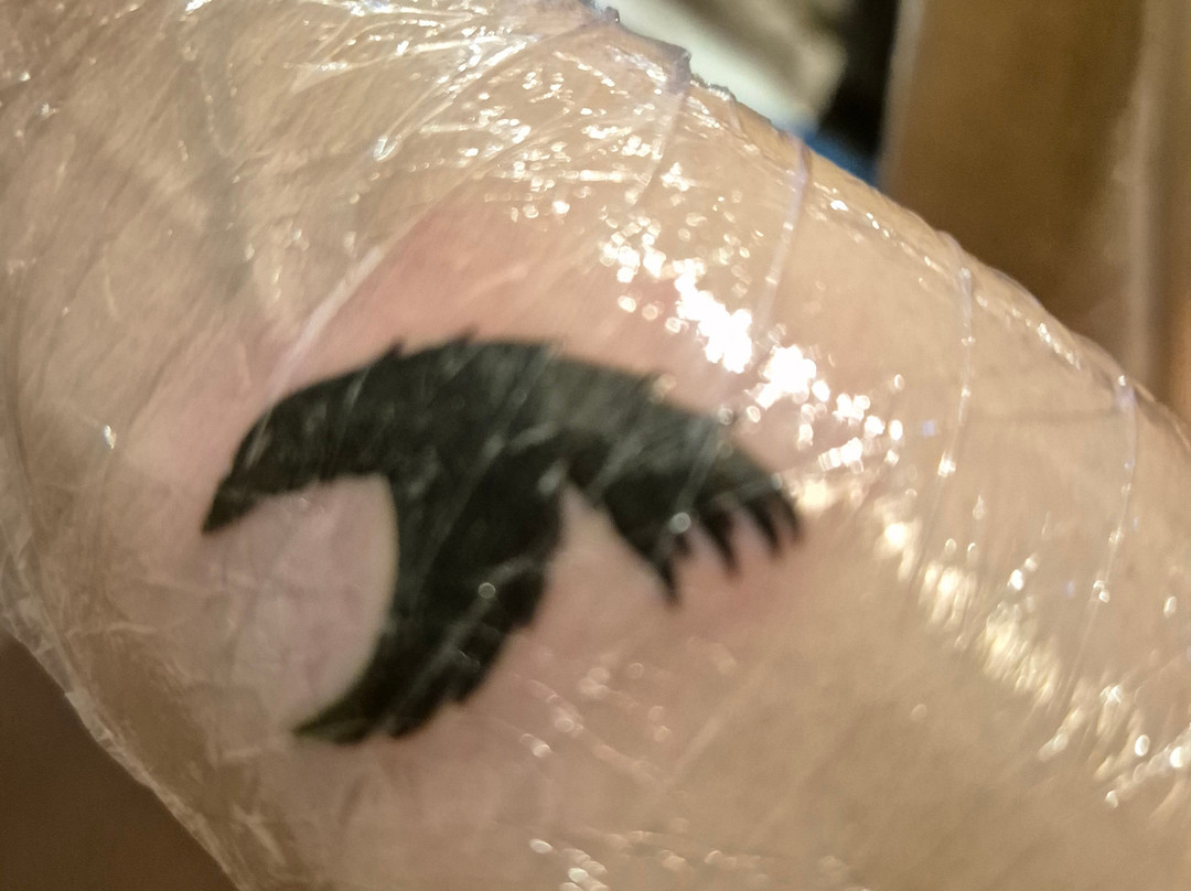 Timebomb Tattoo & Piercing - Bournemouth-伯恩茅斯必去景点