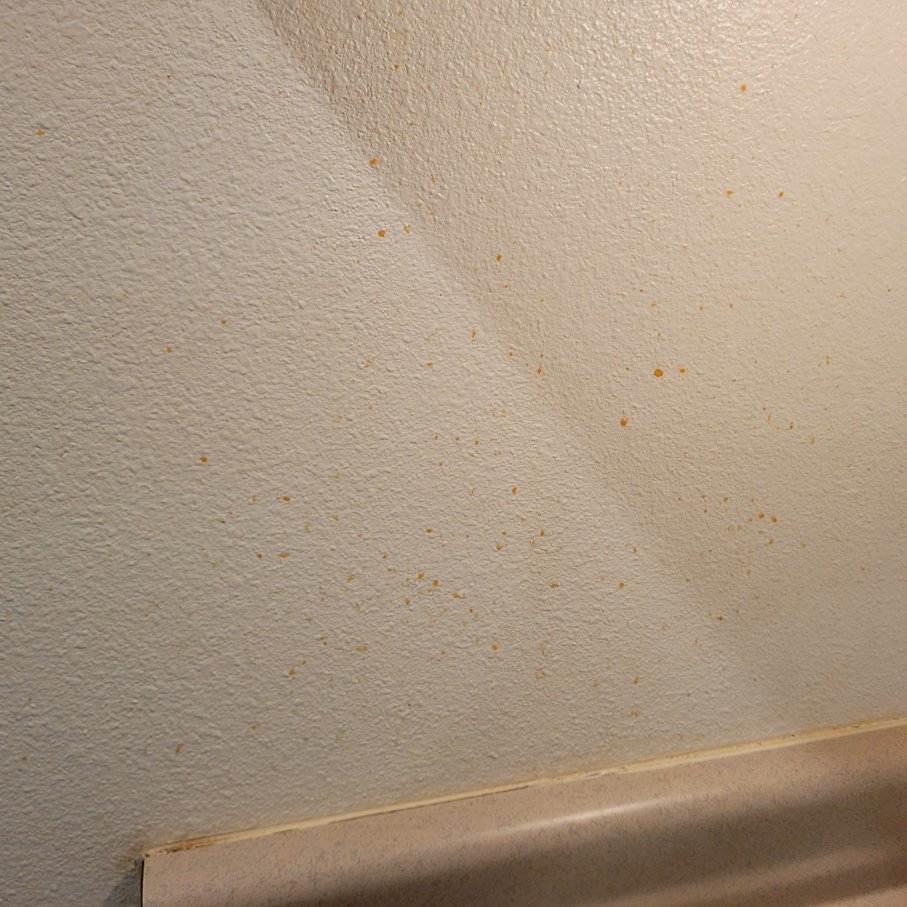 弗里敦伍德斯普林套房酒店-客卧