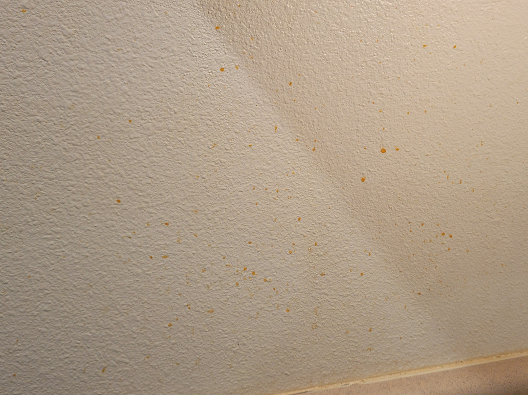 弗里敦伍德斯普林套房酒店主图