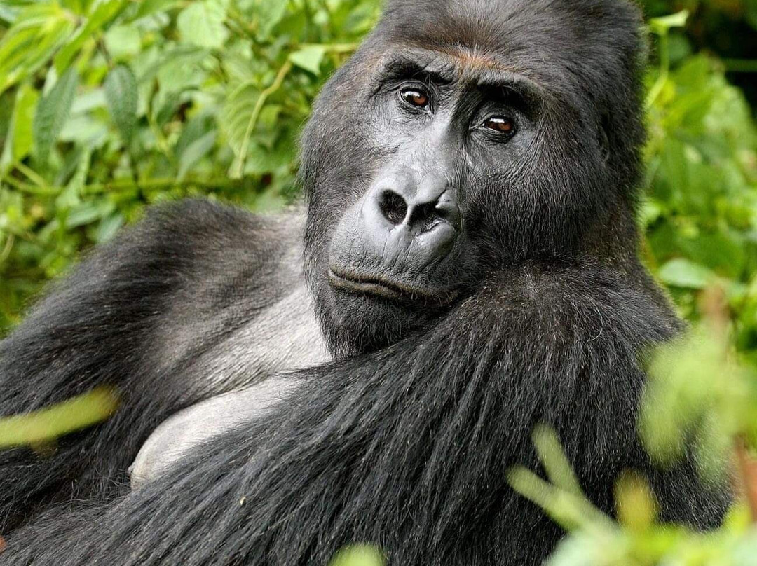 Wild Untouched Adventure-恩德培必去景点