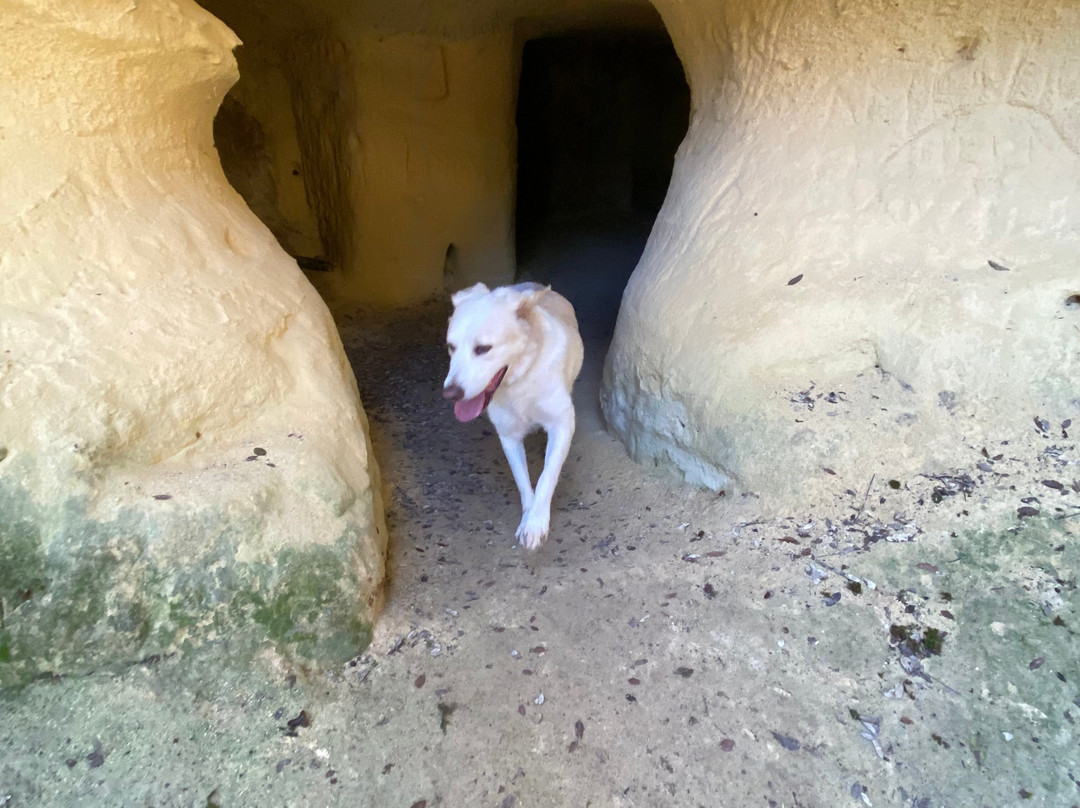 Grotte Gialle景点图片