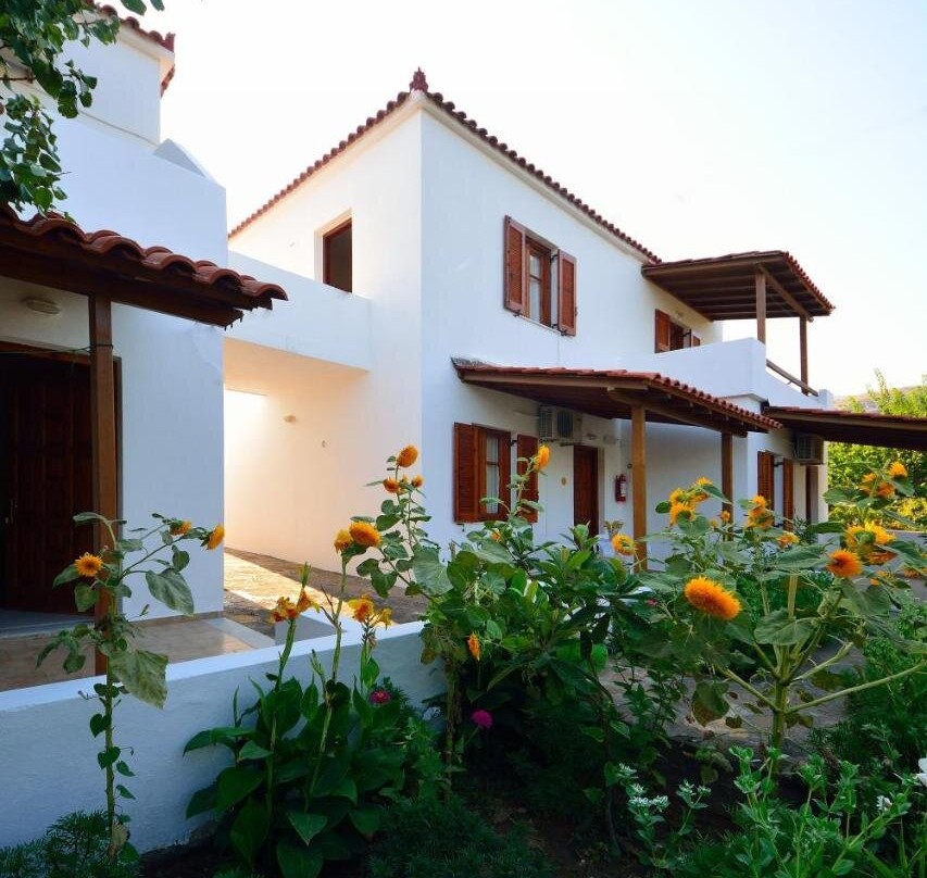Studios Calvinos