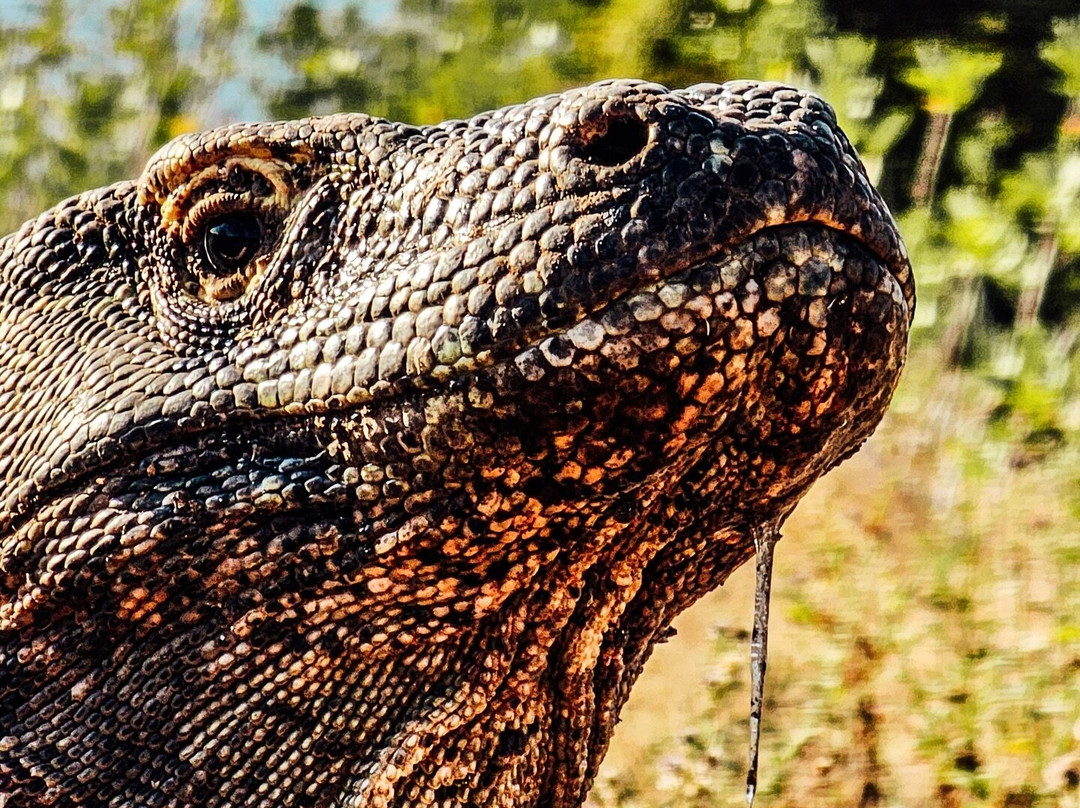 Pt Jemari Bali Project-图班必去景点