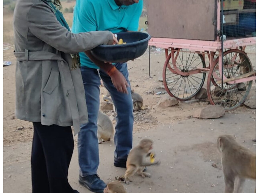 Ronak Tours Jaipur-斋蒲尔必去景点