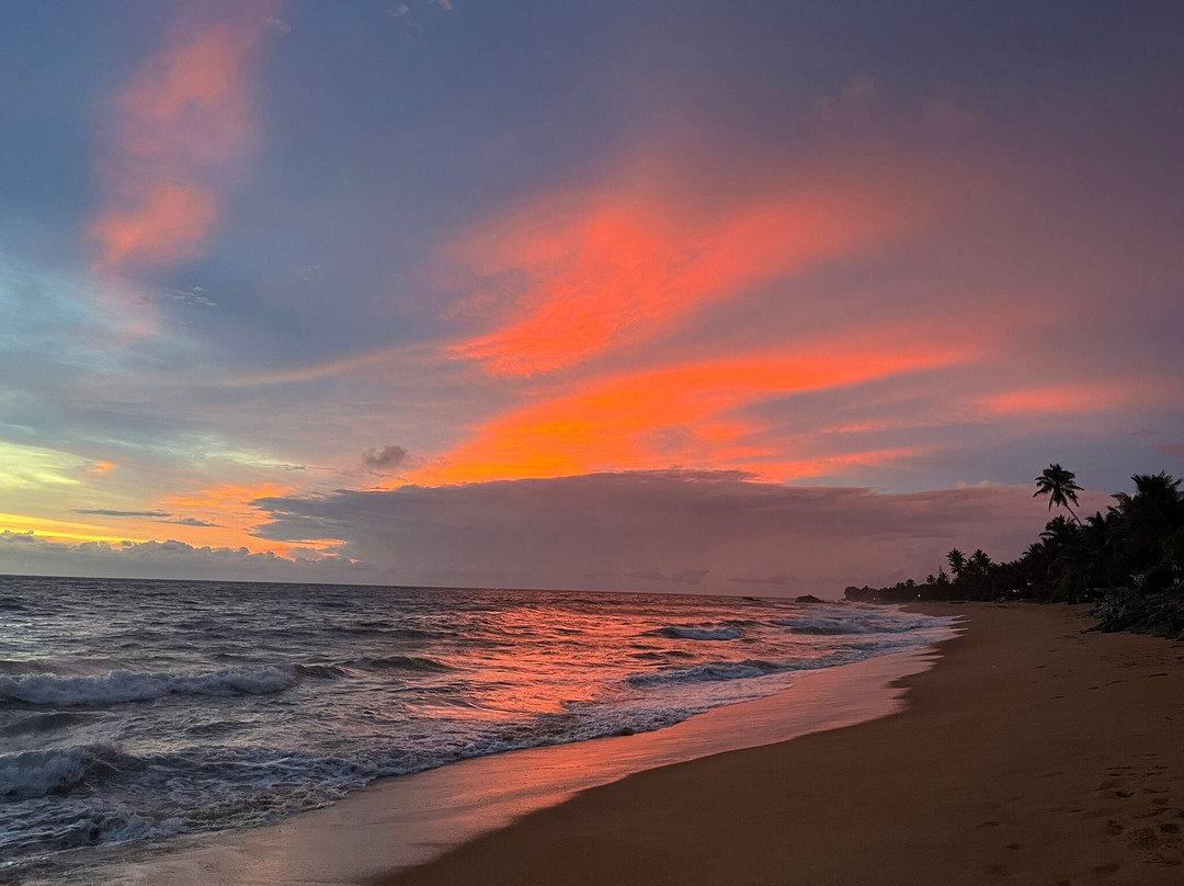 Asiri Yoga Retreat-Pitiwella必去景点