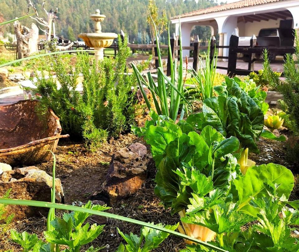 Tierra Adentro Hacienda Agroturistica