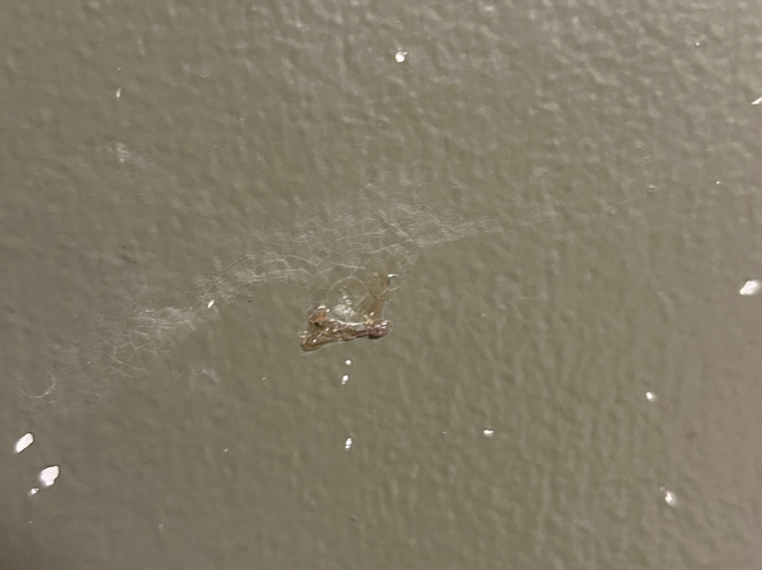 Ramada by Wyndham Medicine Hat主图