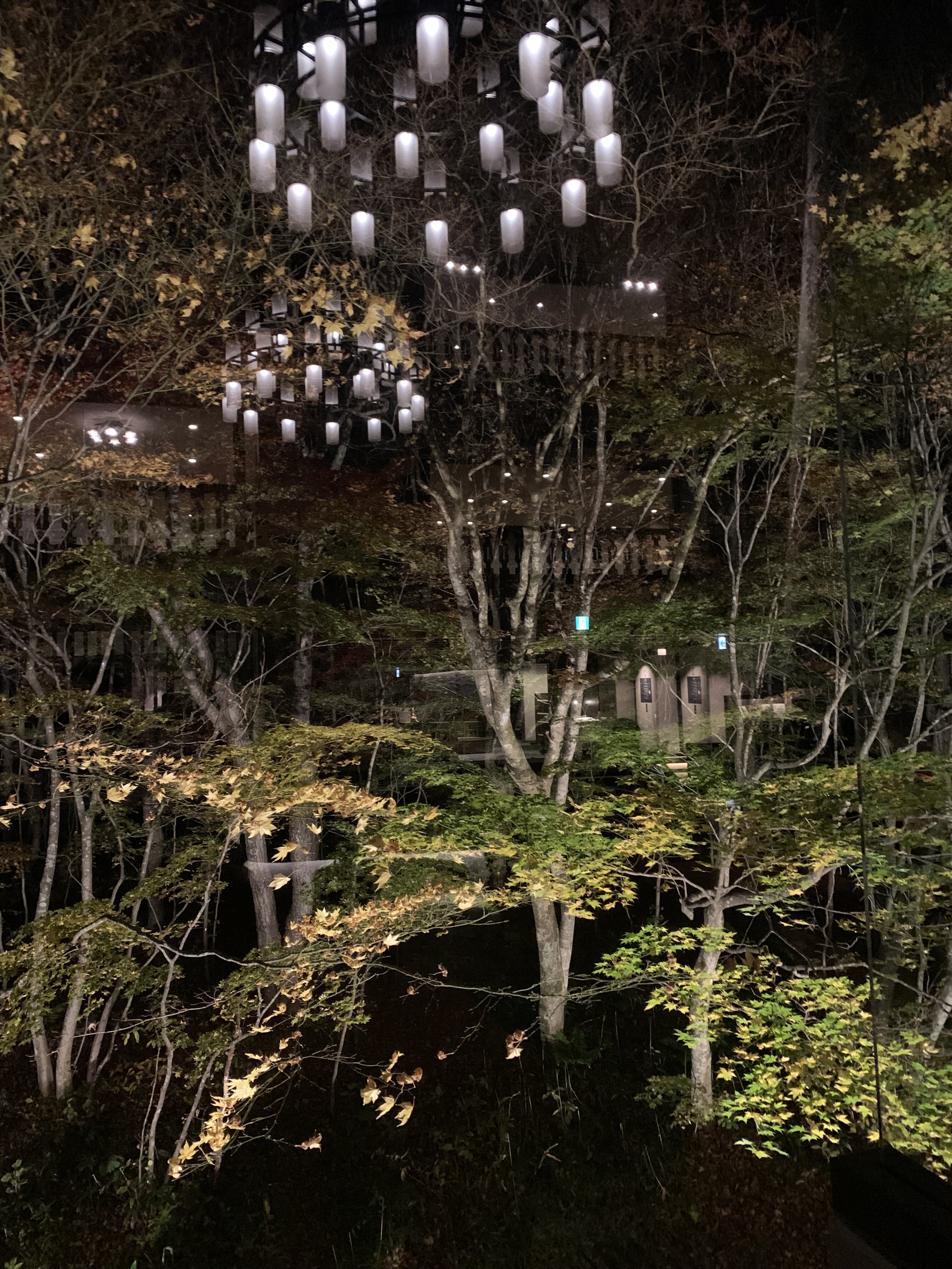 星野集团奥入濑溪流酒店-浴室
