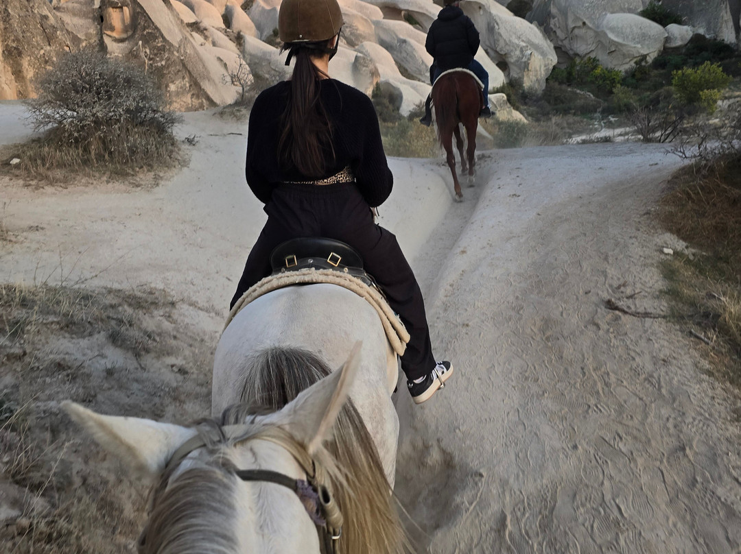 The Dalton Brothers Horse Riding Tours-格雷梅必去景点