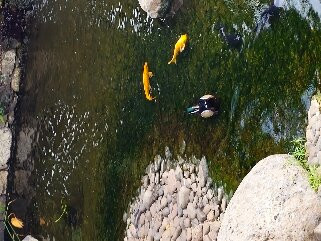 Ilha das Aves-Campanario必去景点