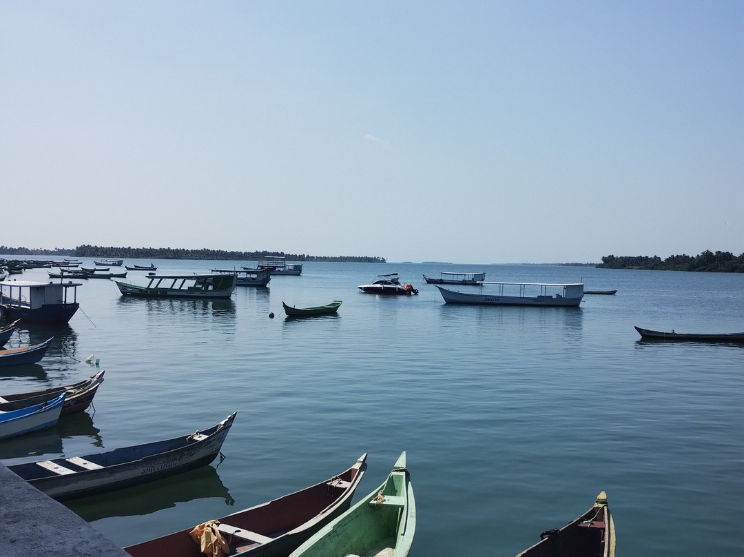 Passeios a Foz do Rio São Francisco - DR TOUR-Piacabucu必去景点