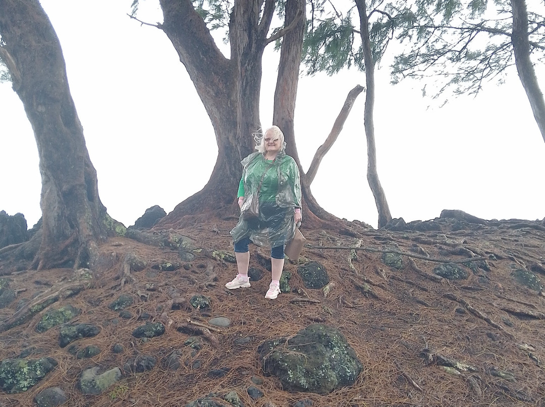Laupahoehoe Lookout-劳帕霍也霍也必去景点