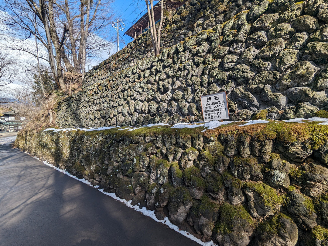 Kaikoen Garden-小诸市必去景点