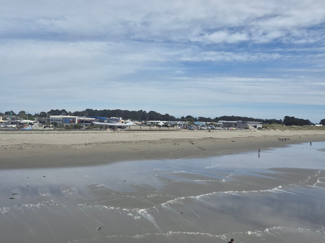 新布赖顿海滩-基督城必去景点