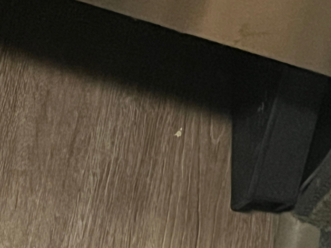 Residence Inn Deptford主图