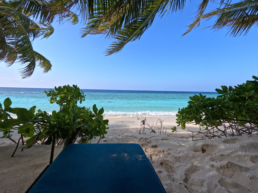 Shaviyani Retreat主图