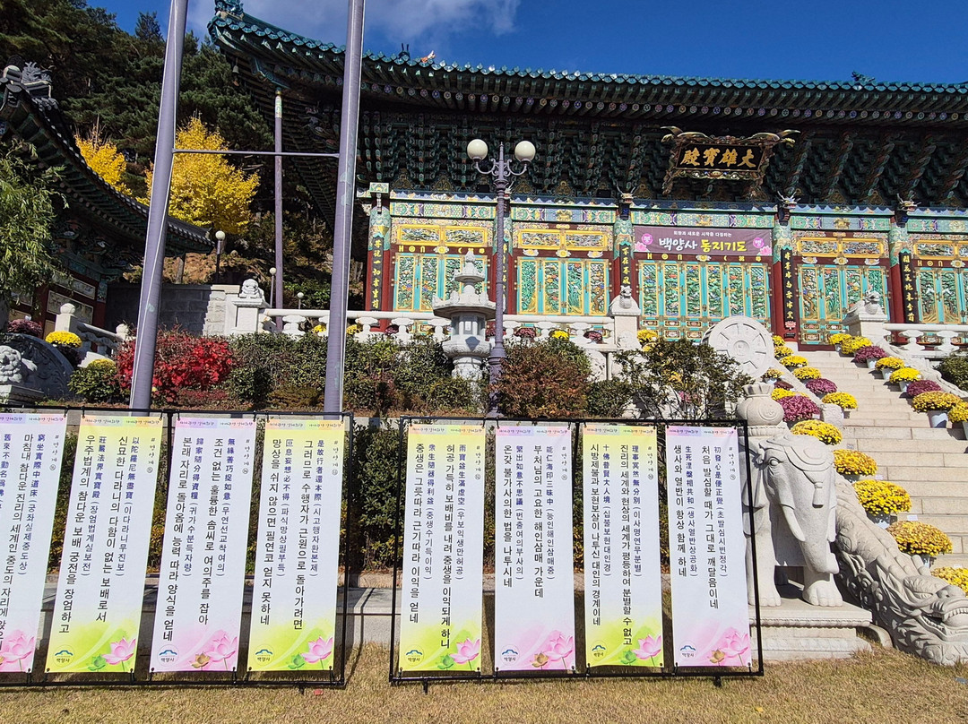 Baekyangsa Temple-长城郡必去景点