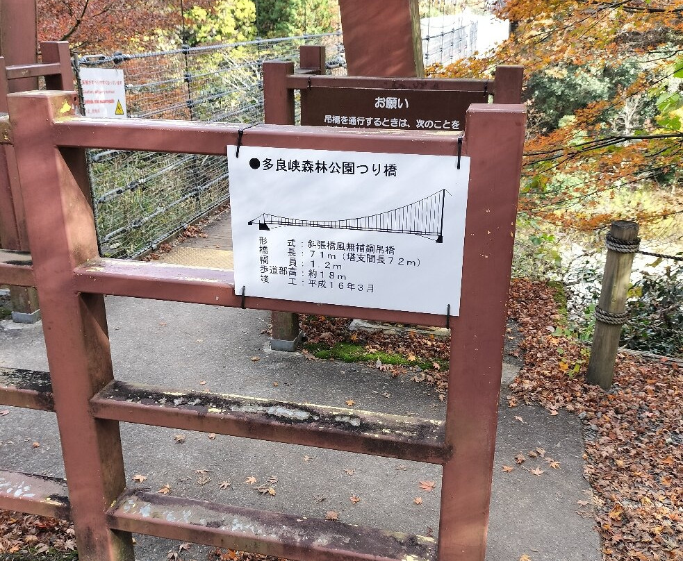 Tara Canyon-大垣市必去景点