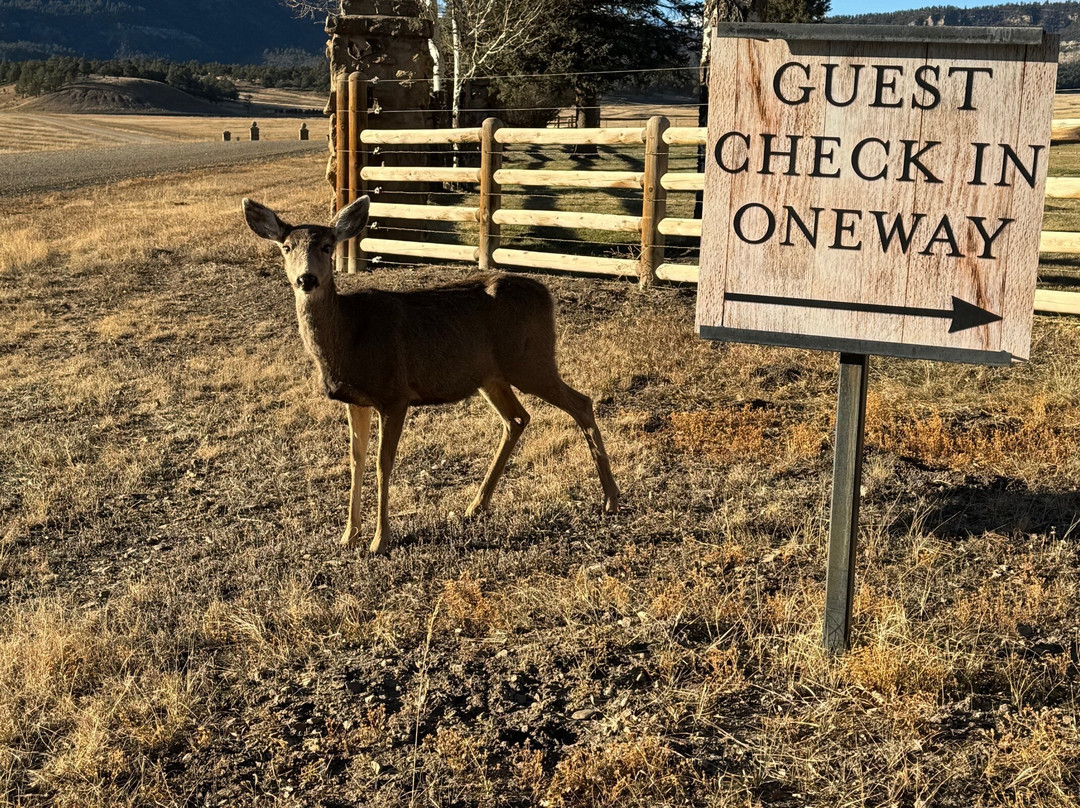 Vermejo, A Ted Turner Reserve主图