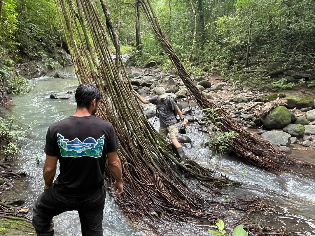 Tierra Madre Eco Lodge主图