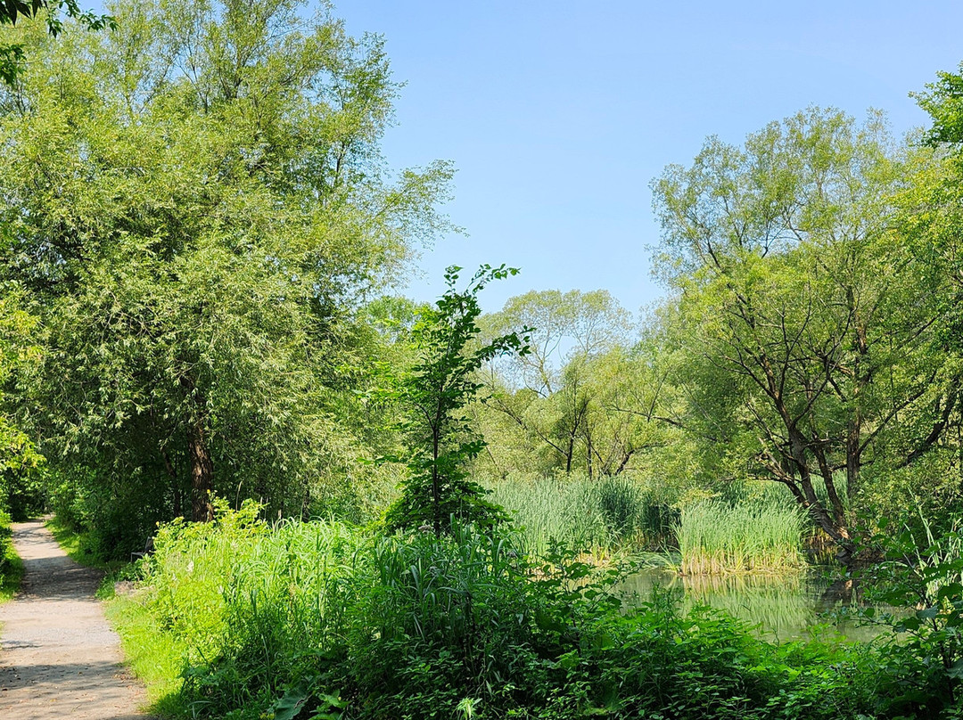 Parc Familial Des Berges景点图片