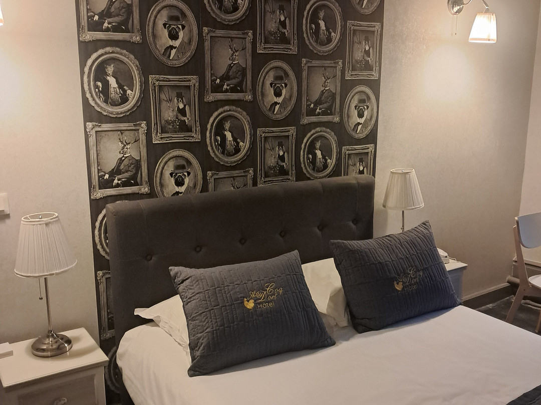 Hotel Au Coq Dort主图