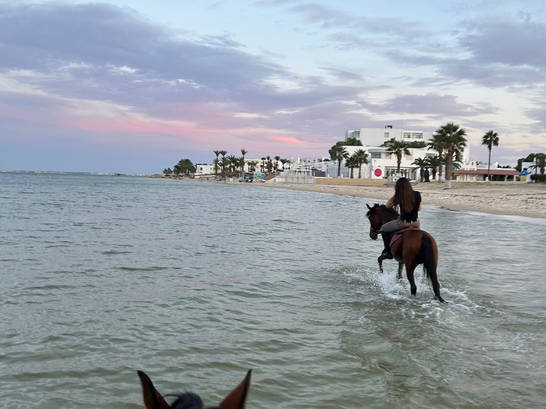 EkiClub-摩纳斯特必去景点