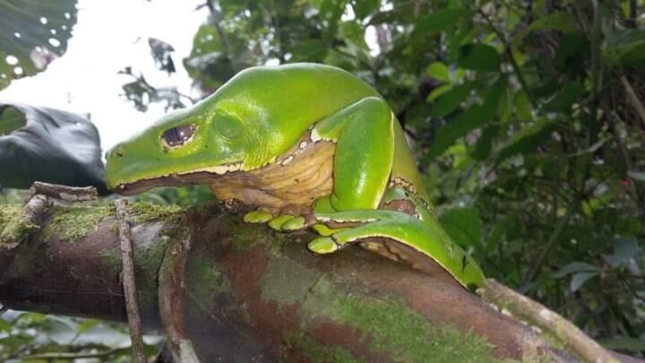 Amaselva Tours - Colombia Amazon-莱蒂西亚必去景点