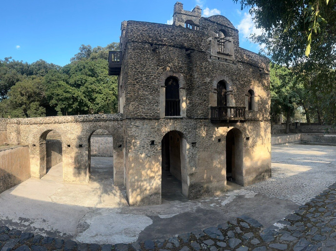 Ethio Wonder Tours景点图片