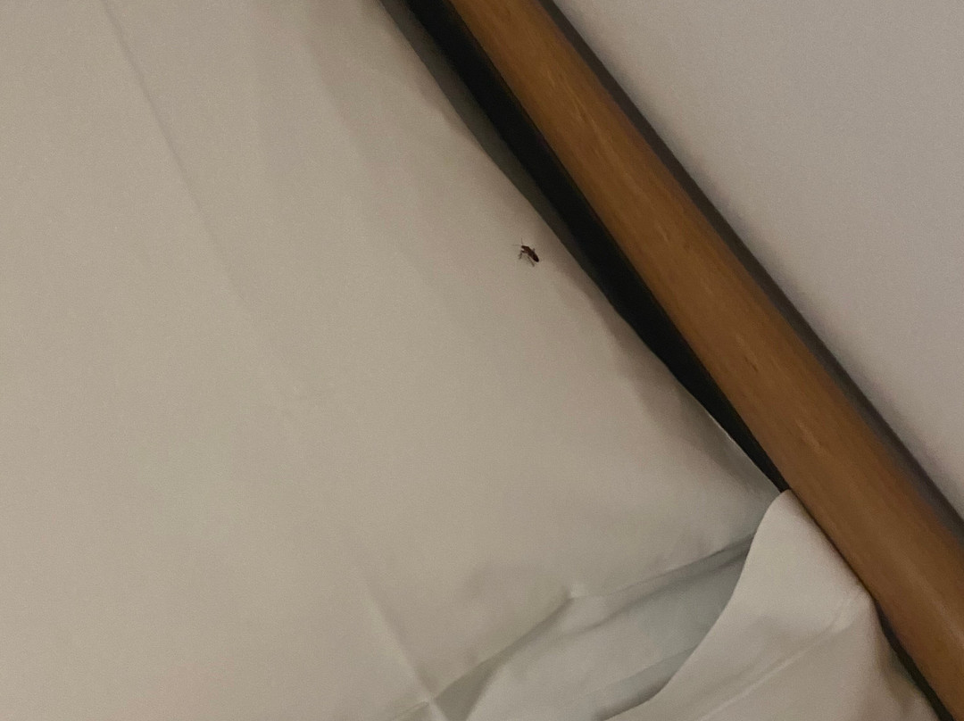 Albergo Diffuso Balcone sul Friuli主图