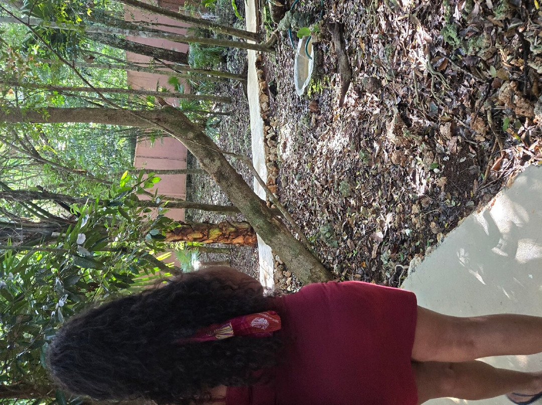 Los Colibries Mayan Jungle Spa-从莫雷洛斯港必去景点