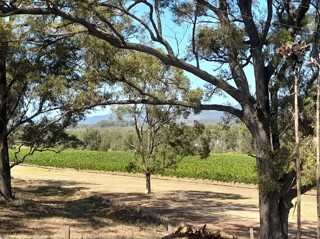 Allandale Winery景点图片