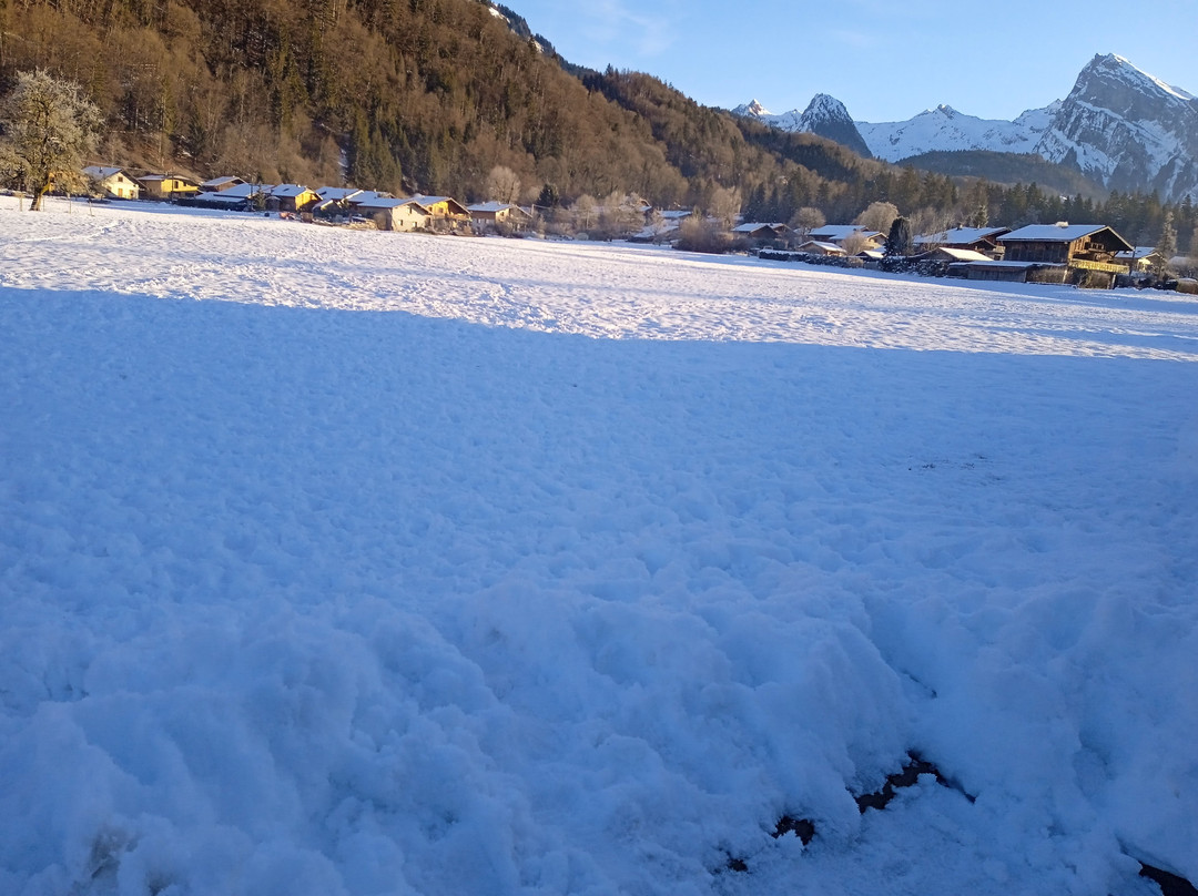 Grand Massif Ski Area景点图片