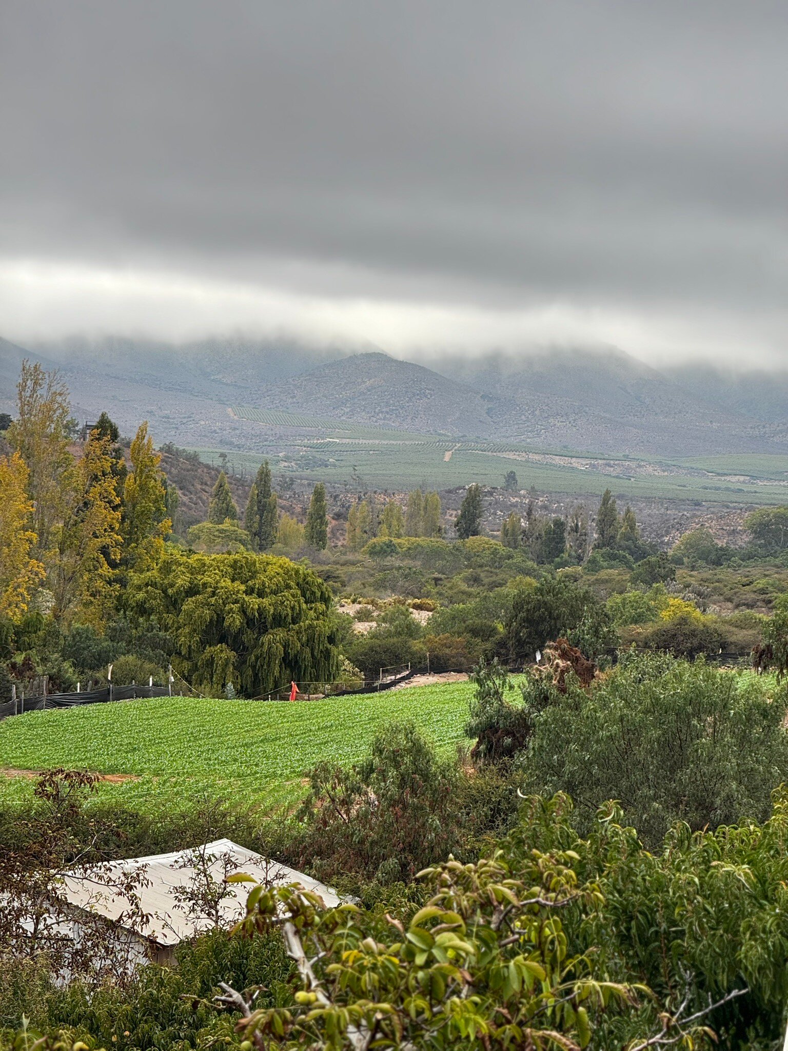 Hacienda Santa Cristina-官方