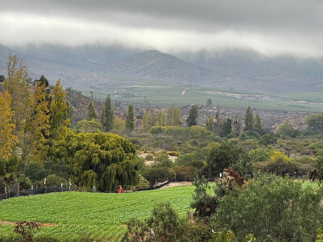 Hacienda Santa Cristina主图