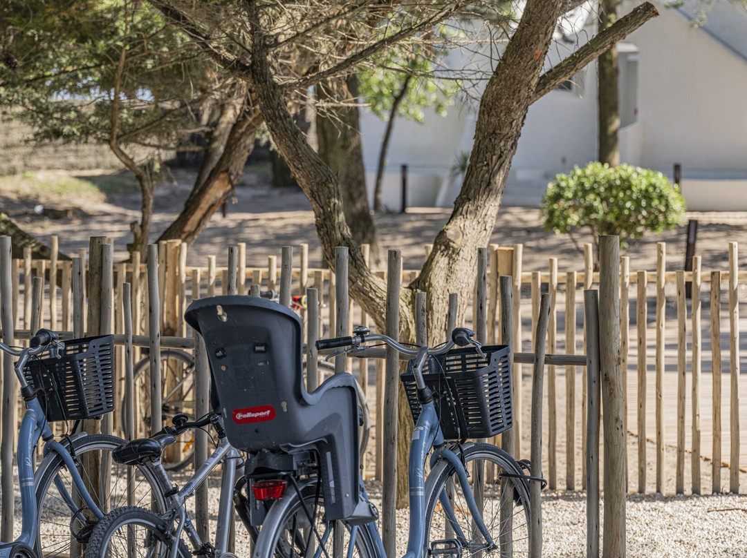 Hotel Punta Lara主图