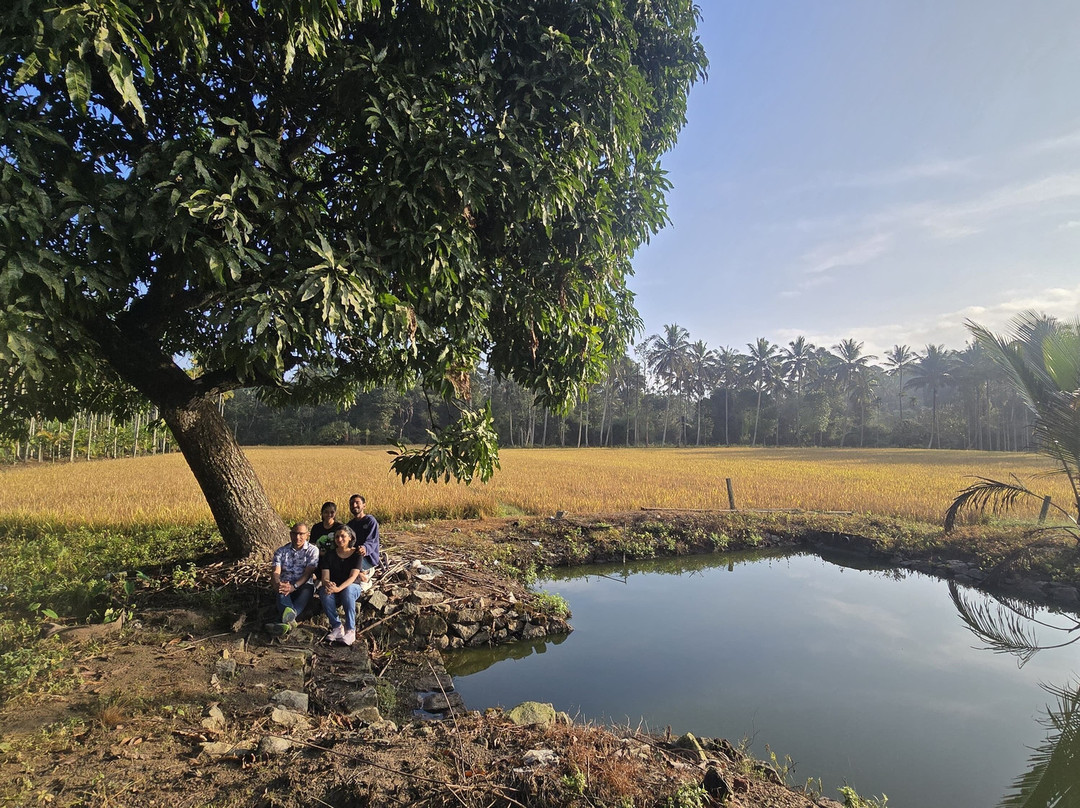 The Suvistara Wayanad主图