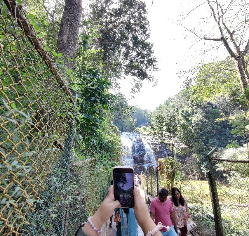 Abbey Falls景点图片